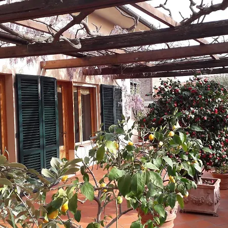 Il Conte Bed & Breakfast
